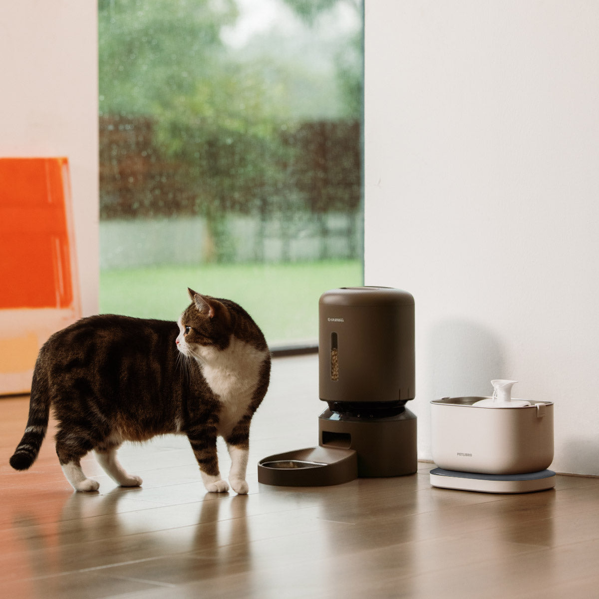 Stay Connected with Your Pet: Petlibro Granary Smart Camera Automatic Pet Feeder