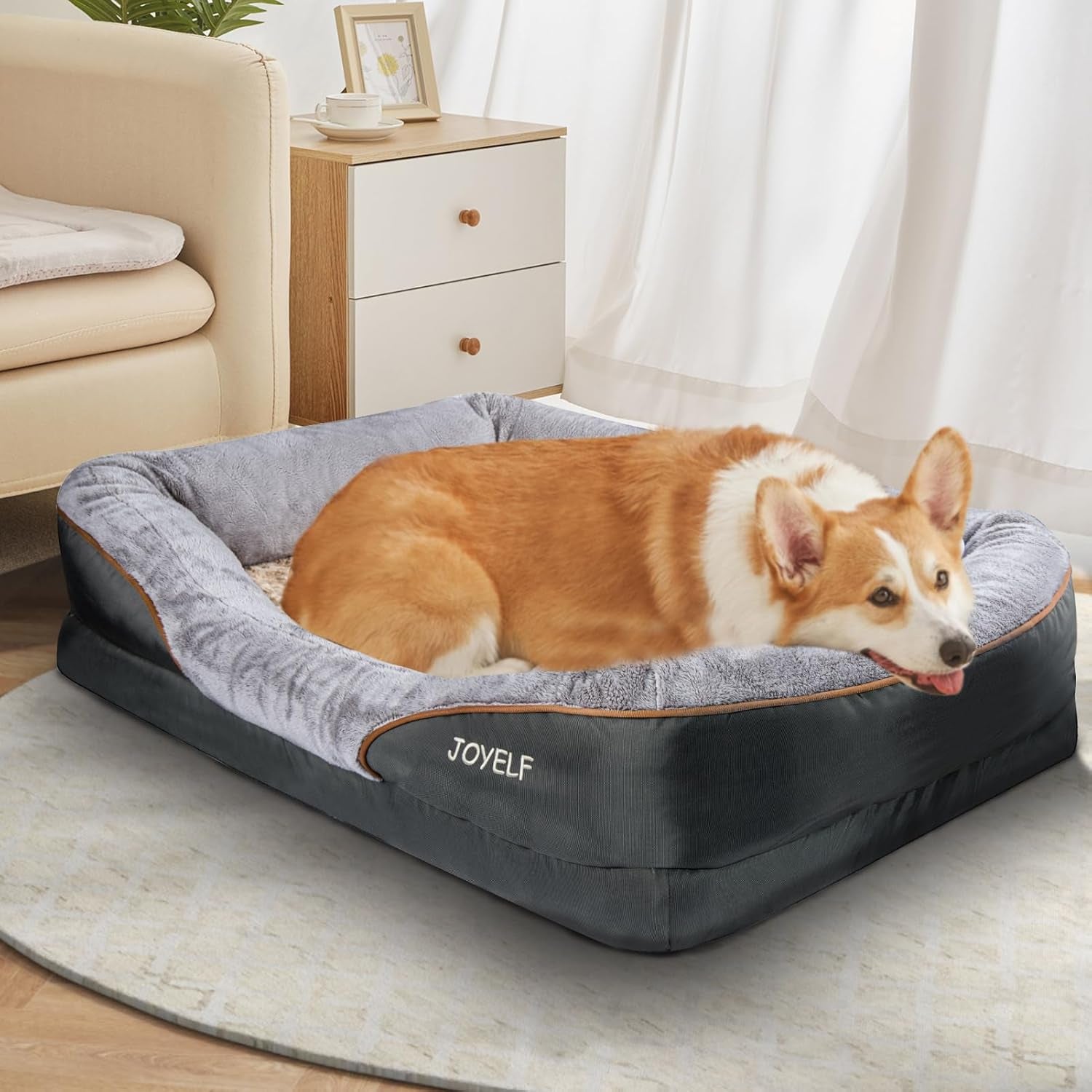 Luxurious Large Memory Foam Orthopedic Dog Bed with Removable Washable Cover and Complimentary Squeaker Toy