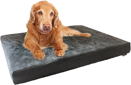 Luxurious Orthopedic Dog Bed with Premium Memory Foam – Waterproof, Washable Microsuede Cover in Gray – Perfect for Medium to Large Breeds (41"x27"x4")