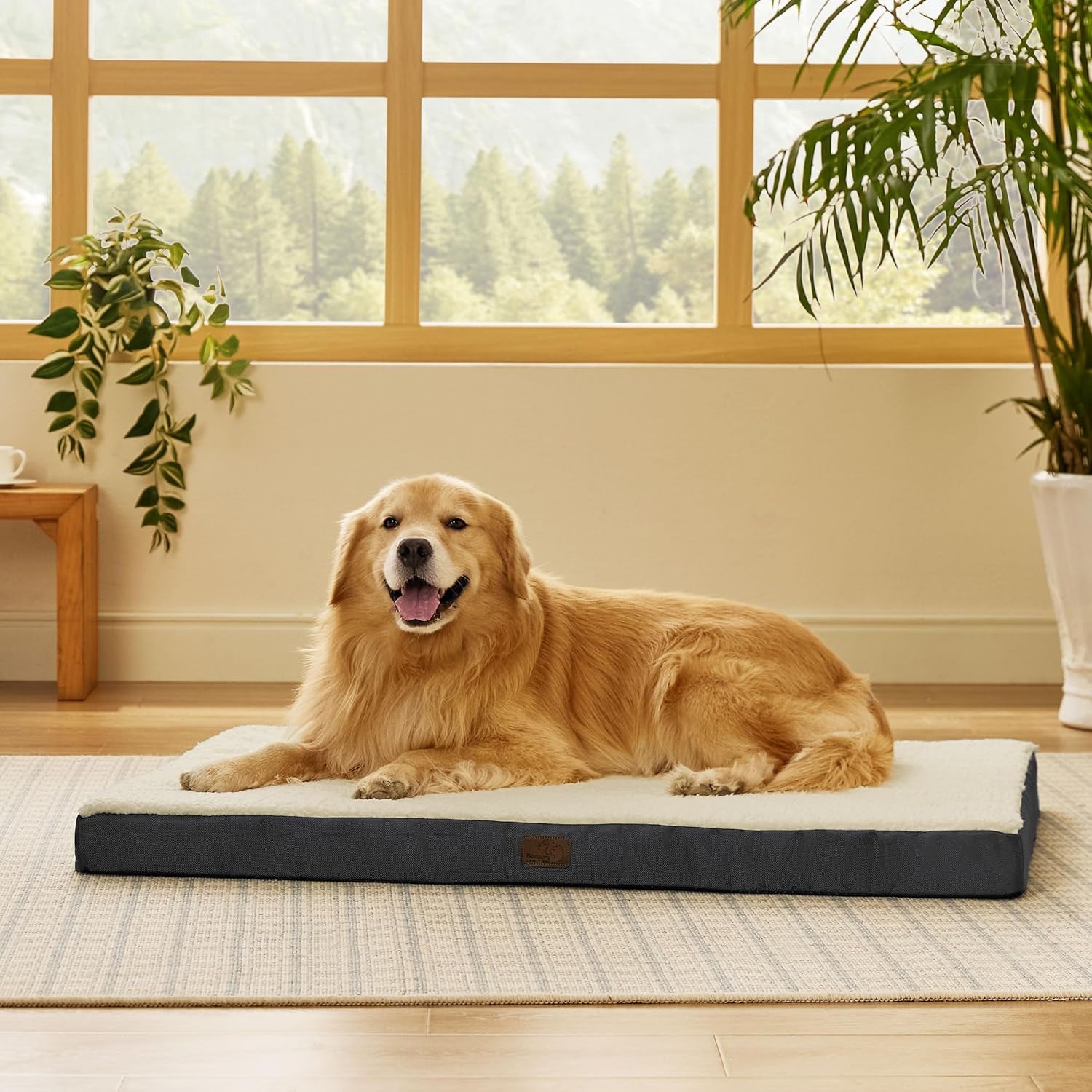 Bedsure Extra Large Orthopedic Dog Bed - Plush Sherpa Fleece with Washable Cover for Ultimate Comfort and Support for Dogs Up to 100 lbs