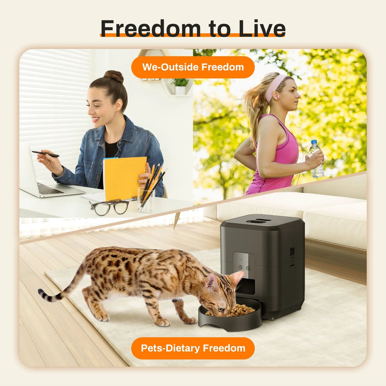 Revolutionary Automatic Pet Feeder with Smart Timing and Remote Control for Your Feline Friend