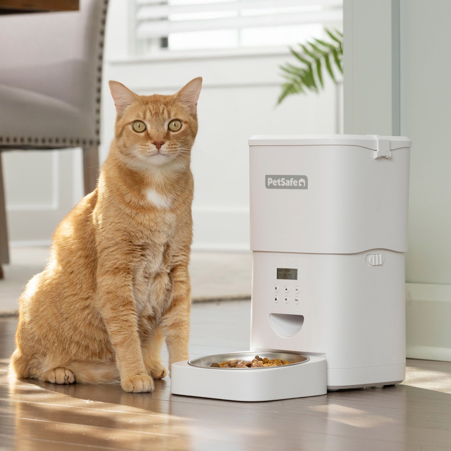 Revolutionize Mealtime with the PetSafe Flexfeed Automatic Pet Feeder Bundle - Perfect for Your Feline Friend!